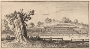 Albury - Wenceslaus Hollar