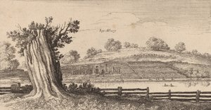 Albury
