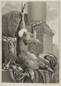 Lièvre mort