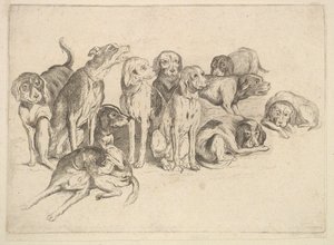 Onze Chiens - Wenceslaus Hollar