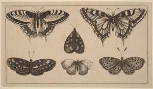 - Wenceslaus Hollar