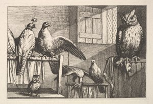 Faucons et hiboux, 1625-77