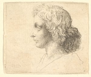 Tête de jeune homme aux cheveux longs de profil à gauche, 1644-52 - Wenceslaus Hollar