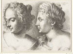 Têtes de deux jeunes femmes - Wenceslaus Hollar