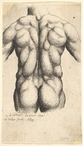 Torso masculin nu vu de dos, 1645 - Wenceslaus Hollar