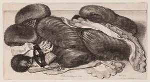  - Wenceslaus Hollar