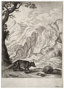 Le renard et le porc-épic - Wenceslaus Hollar