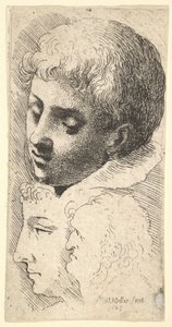 Trois têtes, 1645 - Wenceslaus Hollar