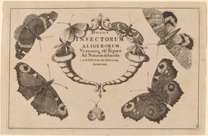 Page de titre - Wenceslaus Hollar
