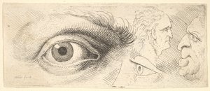 Deux yeux et deux têtes