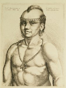 Indien de Virginie de 