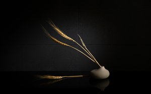  - Wendy Xu