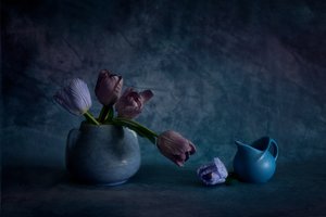  - Wendy Xu