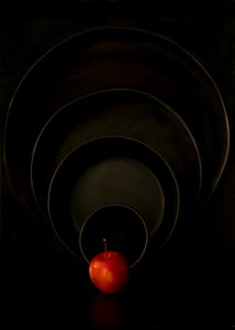  - Wendy Xu