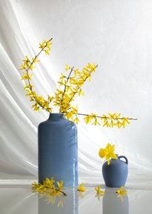  - Wendy Xu