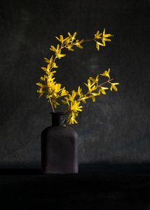  - Wendy Xu