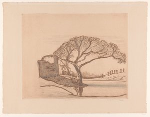 Maisons, arbre près d