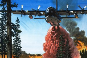 Bombarder un feu de forêt