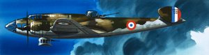 Dans le bleu : Les avions français de la Seconde Guerre mondiale