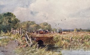 Fenaison - Wilfrid Williams Ball