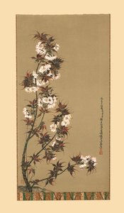 Les fleurs de cerisier de Mikawa, 19ème siècle, 1886 - Wilhelm Greve