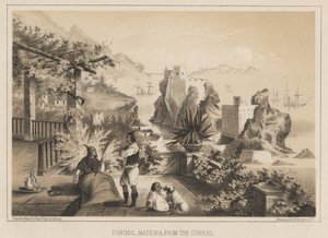 Funchal, Madère, depuis le Curral, 1885