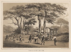 Tshan-Di-Coo-Sah, Lew Chew, 1855 - Wilhelm Joseph Heine