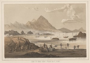 Vue de Hong Kong depuis East Point, 1855 - Wilhelm Joseph Heine