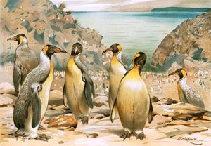 Pingouins géants - Wilhelm Kuhnert