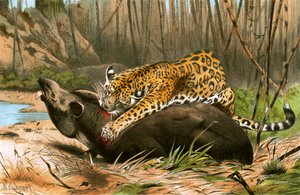 Jaguar tuant un tapir - Wilhelm Kuhnert
