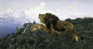 Lions au crépuscule