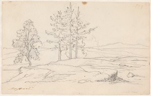 Paysage suédois