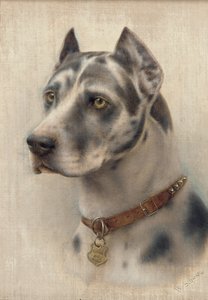 La Tête d