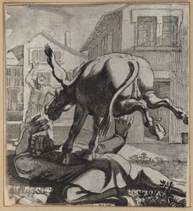 Le fou qui se vante de son autorité