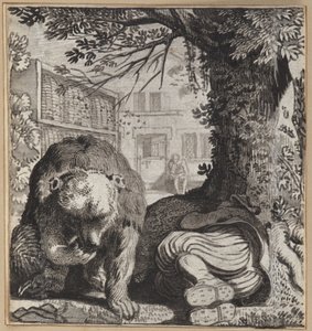 Le fou paresseux