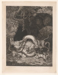 Lion et lionne protégeant leurs petits contre un serpent
