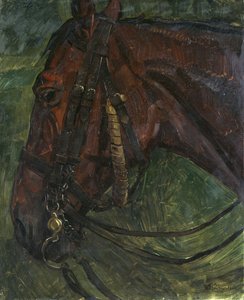 Tête de cheval