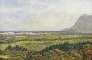 Vallée de Constantia et False Bay, avec Cape Point - Wilhelm Westhofen