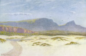 Dunes de sable - Wilhelm Westhofen