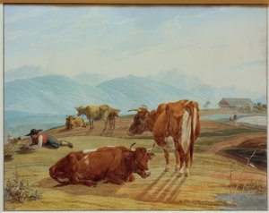 Vaches paissant devant un paysage de haute montagne
