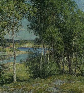 Une Famille de Bouleaux - Willard Leroy Metcalf
