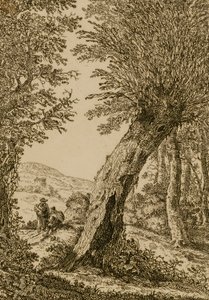 Paysage avec saule - Willem Bemmel