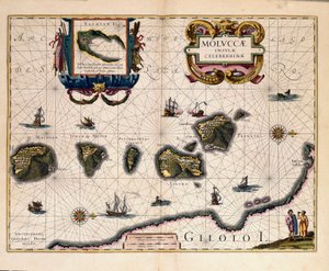 Carte des îles Moluques à l