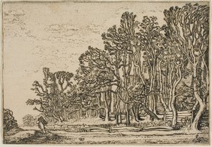 Paysage avec haies de planches et homme portant du bois