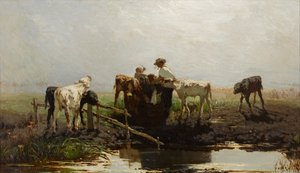 Veaux à une auge