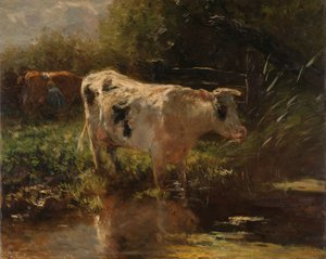 Une vache près d