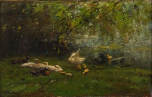 Paradis des canards