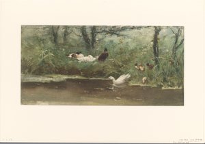 Canards au bord du fossé - Willem Maris