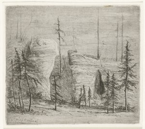 Paysage rocheux avec des pins, appelé Teufelkanzel
