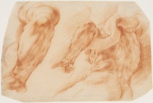 Laocoon. Études du bras gauche de Laocoon et du dos de son torse vu de gauche et de dessous - Willem Panneels